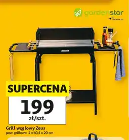 Auchan Grill rodzinny zeus Garden Star oferta