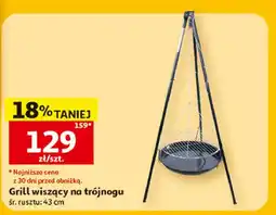Auchan Grill wiszący na trójnogu 43 cm oferta