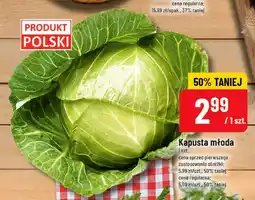 Polomarket Kapusta młoda polska oferta