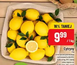 Polomarket Cytryny oferta