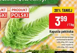 Polomarket Kapusta pekińska polska oferta