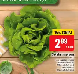 Polomarket Sałata masłowa oferta