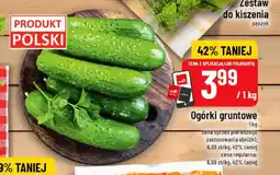 Polomarket Ogórki gruntowe polskie oferta