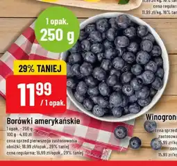 Polomarket Borówki amerykańskie oferta