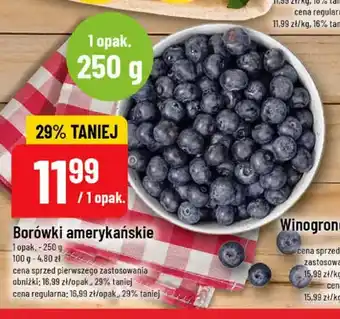 Polomarket Borówki amerykańskie oferta