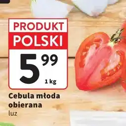Intermarche Cebula młoda obierana luz oferta