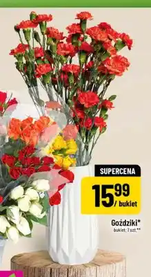 Polomarket Goździki oferta
