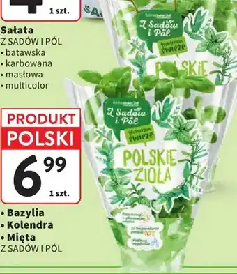 Intermarche Bazylia Z Sadów i Pól oferta