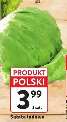 Intermarche Sałata lodowa oferta