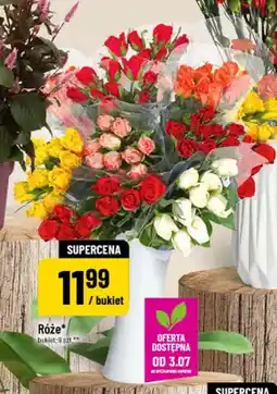 Polomarket Róże oferta