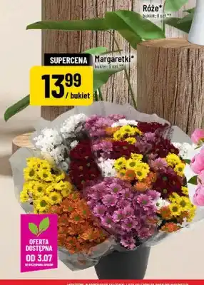 Polomarket Margaretki oferta