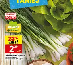 Twój Market Cebula dymka oferta