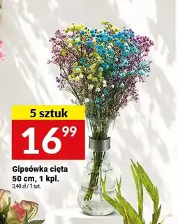 Twój Market Gipsówka cięta 5-pak oferta