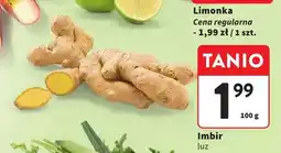 Intermarche Imbir luz oferta