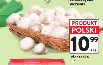 Intermarche Pieczarka luz oferta