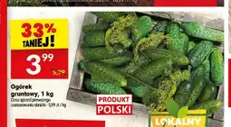 Twój Market Ogórek gruntowy oferta