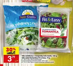 Twój Market Mix sałatkowy z roszponką Sole Gusto oferta