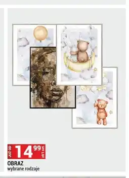 Merkury Market Obraz oferta