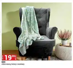 Merkury Market Koc oferta