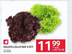 Selgros Sałata mix oferta