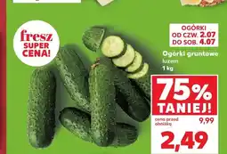 Kaufland Ogórki gruntowe oferta