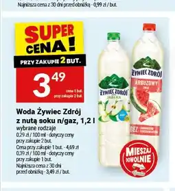 Twój Market Woda smakowa Żywiec Zdrój jabłko oferta