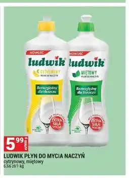 Merkury Market Płyn do mycia naczyń Ludwik cytrynowy oferta