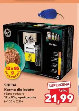 Kaufland Karma dla kotów Sheba oferta