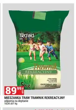 Merkury Market Mieszanka traw Trawnik Rekreacyjny Trawa jak malowana oferta