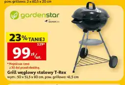 Auchan Grill węglowy stalowy T-Rex Gardenstar oferta
