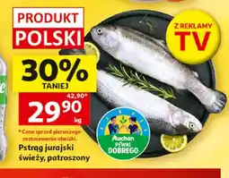 Auchan Pstrąg jurajski świeży patroszony oferta