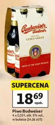 Auchan Piwo Budweiser Budvar Original oferta
