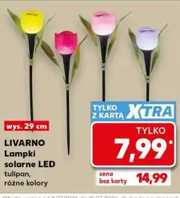 Kaufland LIVARNO Lampki solarne LED oferta