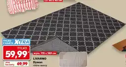 Kaufland LIVARNO Dywan oferta