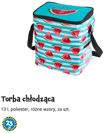 Tedi Torba chłodząca oferta