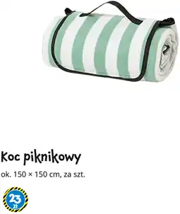Tedi Koc piknikowy oferta