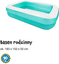 Tedi Basen rodzinny oferta