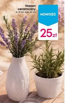 Pepco Wazon ceramiczny oferta