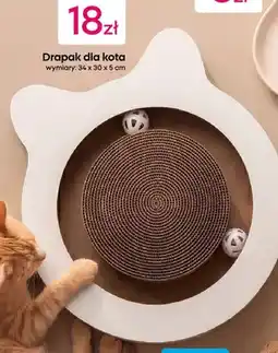 Pepco Drapak dla kota oferta