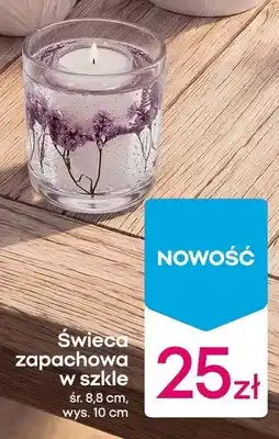 Pepco Świeca zapachowa w szkle oferta