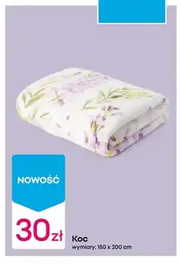 Pepco Koc oferta