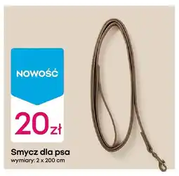 Pepco Smycz dla psa oferta