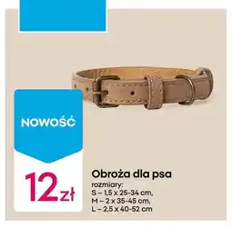 Pepco Obroża dla psa oferta