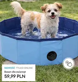 Sinsay Basen dla zwierząt oferta
