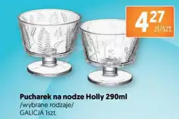 Jubilat Pucharek na nodze holly 290 ml galicja oferta