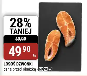 Łosoś dzwonki