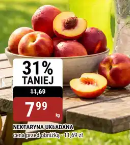 bi1 Nektaryna układana oferta