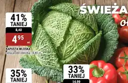 bi1 Kapusta włoska oferta