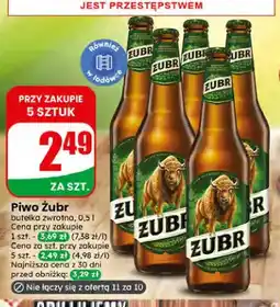 Dino Piwo Żubr oferta