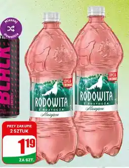Dino Woda mineralna musująca Rodowita oferta